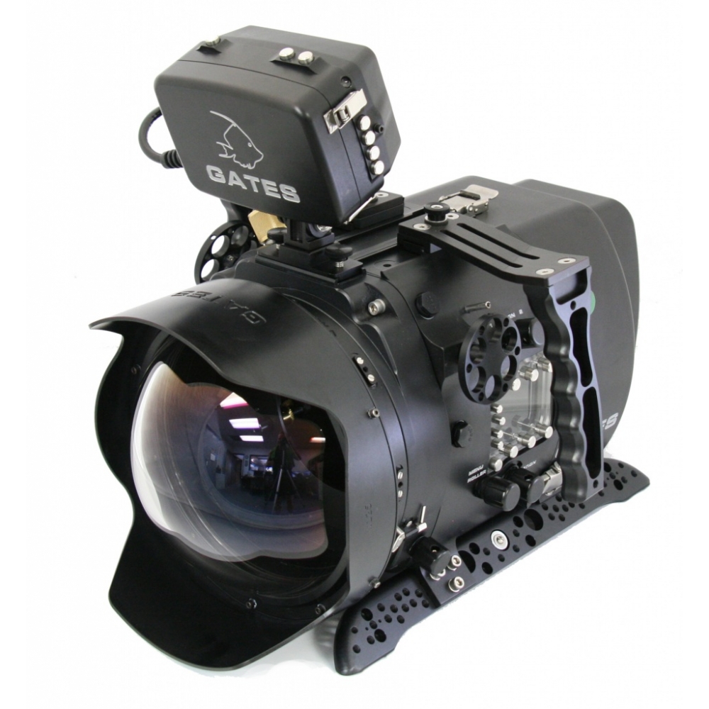 Sony f55.